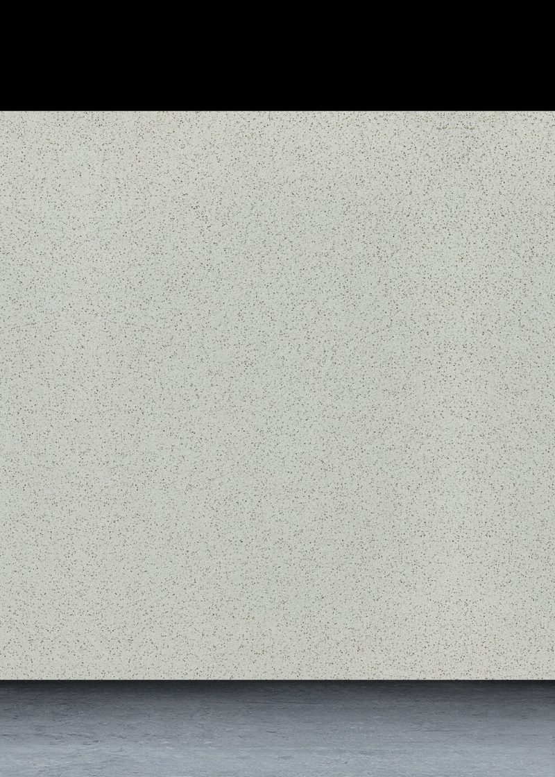 大176975 白桦林 副本