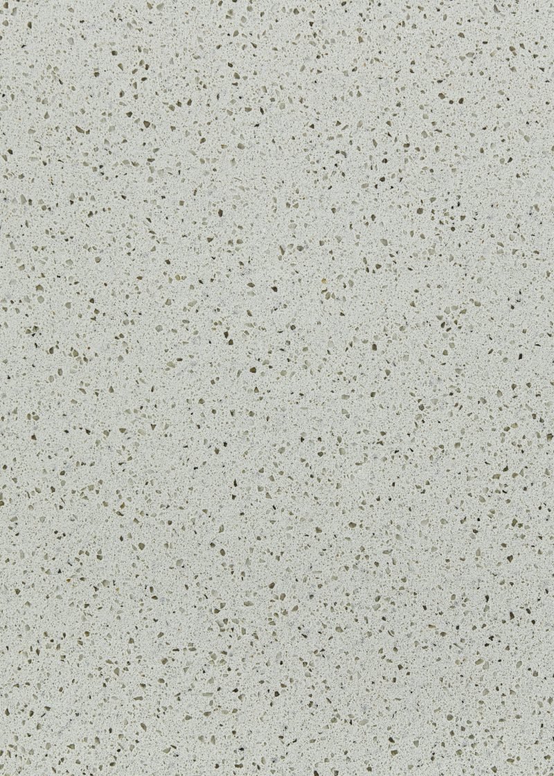 大176977 白桦林 副本